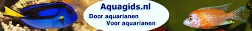 Aquagids